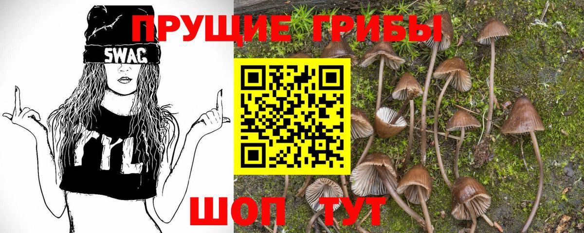 Гусь-Хрустальный  Псилоцибиновые грибы GOLDEN TEACHER  Вход с VPN 