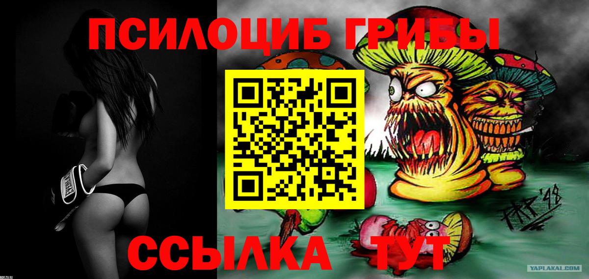 Псилоцибиновые грибы мицелий Гусь-Хрустальный
